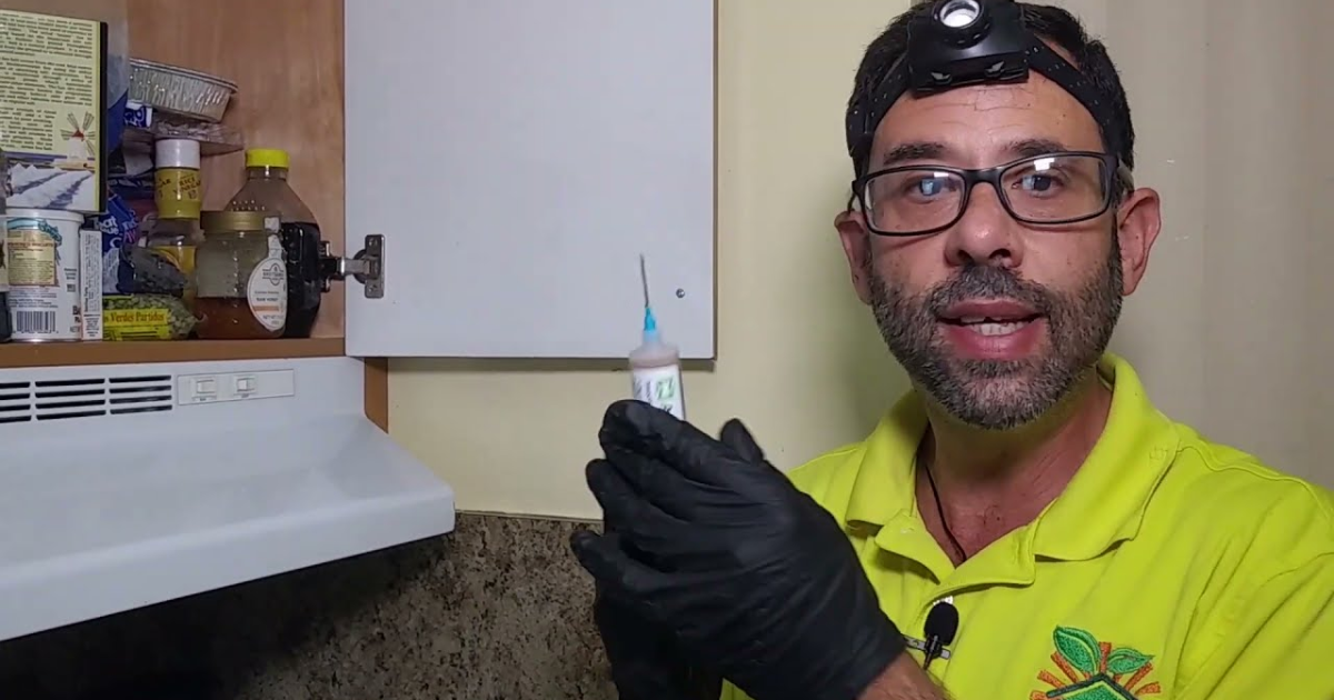 Professional Cockroach Extermination Hollywood Apartments: Your Local Guide