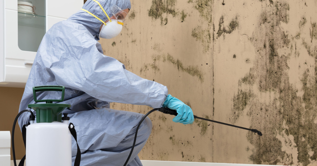 Professional mold cleaning specialists treating Los Angeles home interior